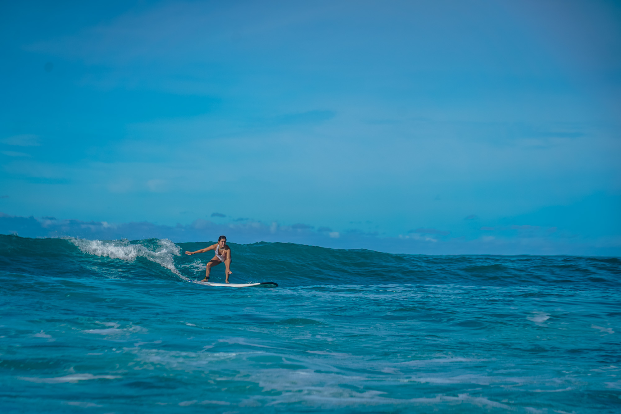 surf lesson photo from the week of 2023-09-03