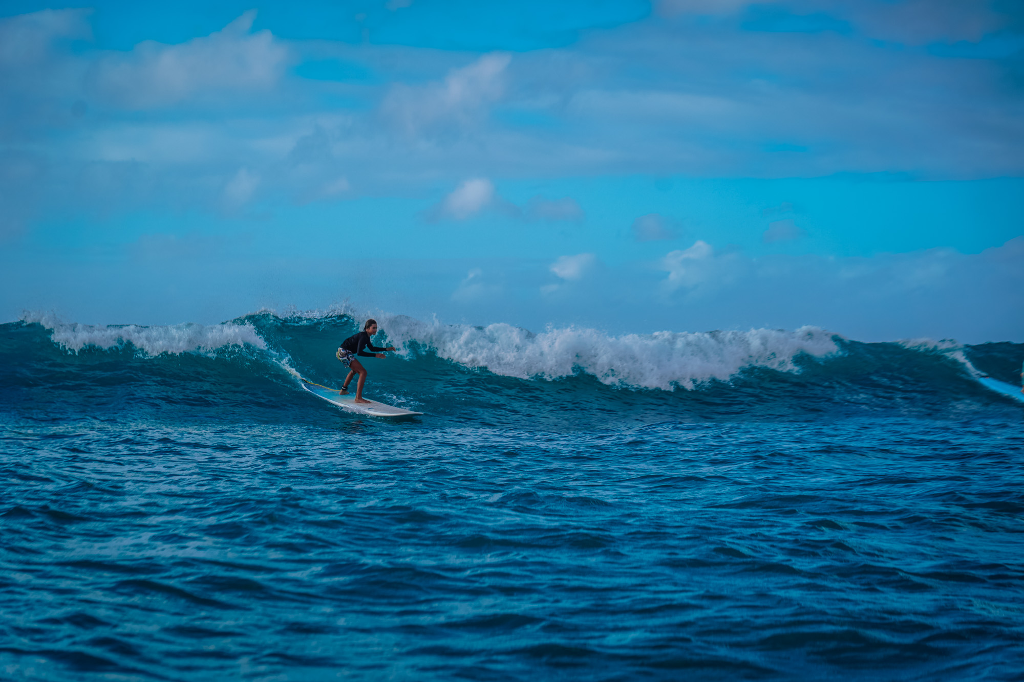 surf lesson photo from the week of 2023-11-12