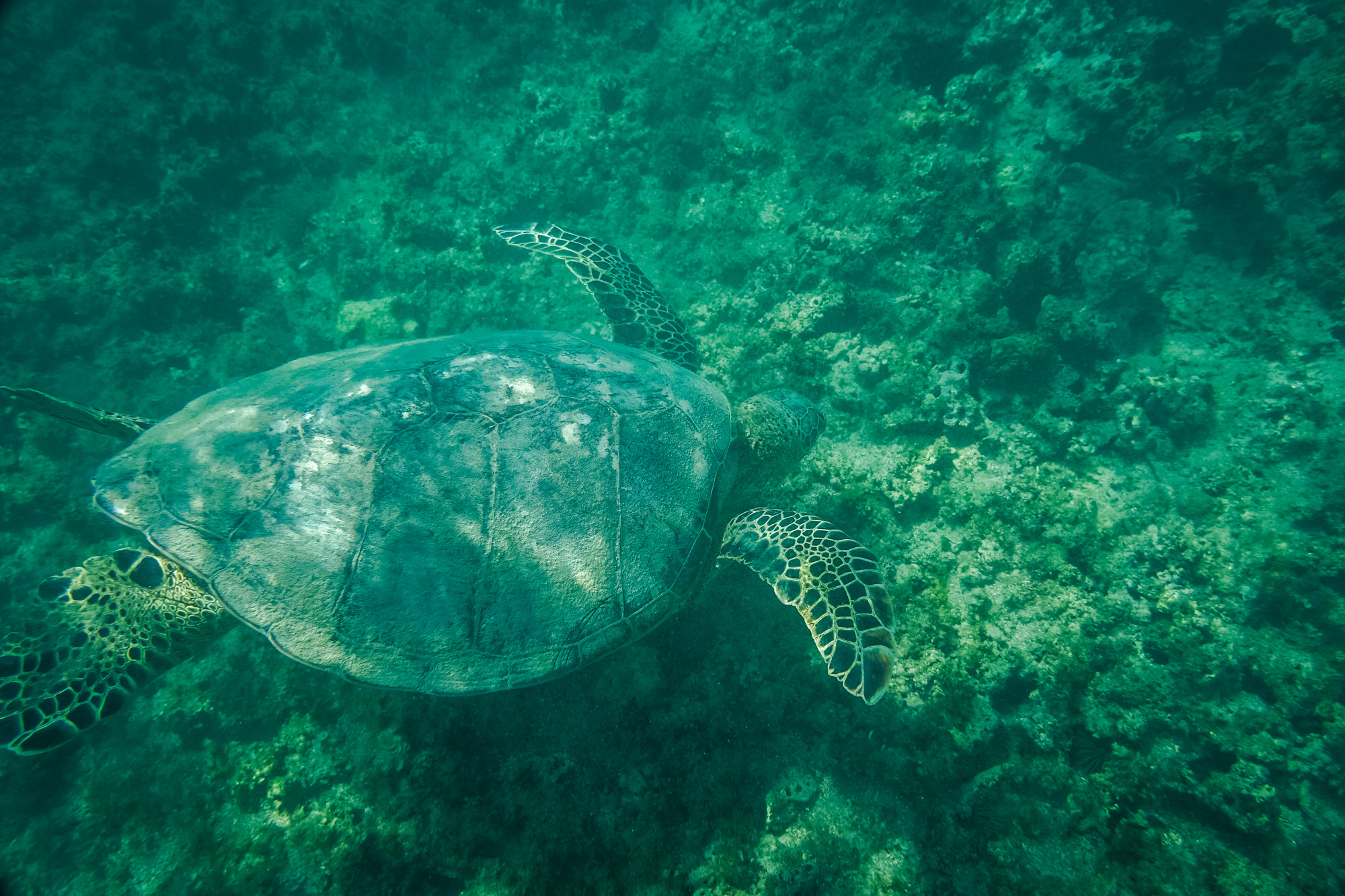 surf lesson photo from the week of 2024-06-09