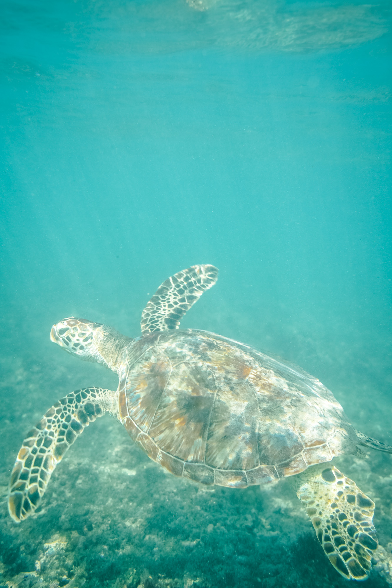 surf lesson photo from the week of 2024-06-30