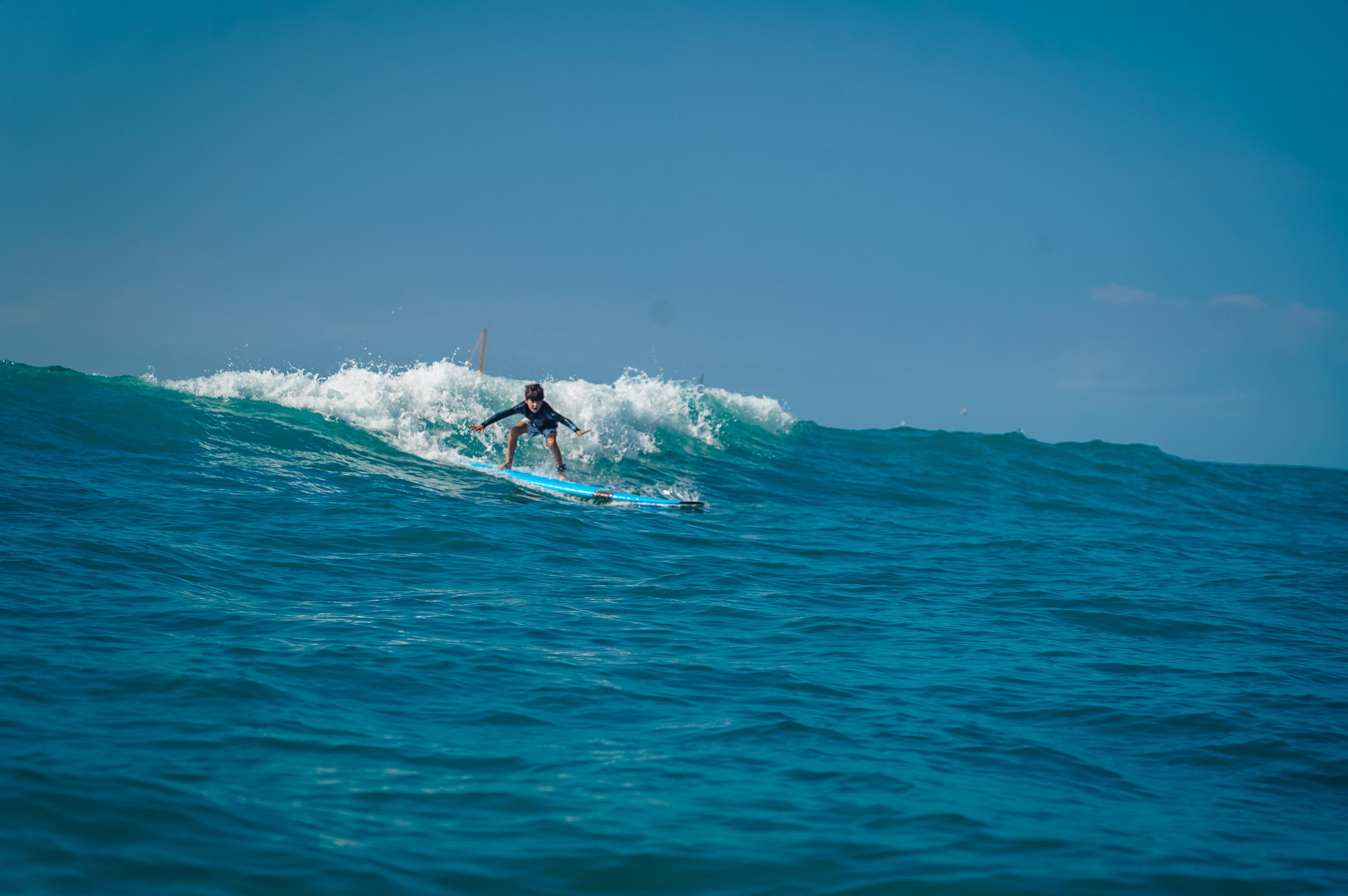 surf lesson photo from the week of 2025-11-30